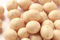 محصولات تازه واردات جلبک دریایی Wasabi بادام زمینی پوشیده شده Snacks Roasted