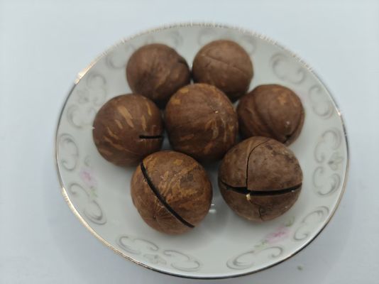 بادام ماکادمیا طبیعی و خوشمزه در کیسه پلاستیکی