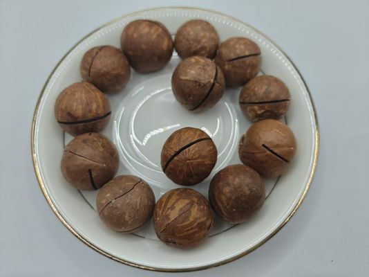 آجیل ماکادمیا