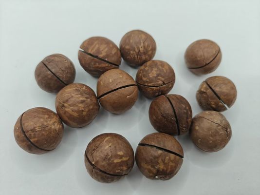 آجیل ماکادمیا