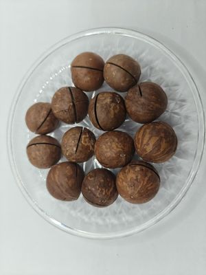 آجیل ماکادمیا