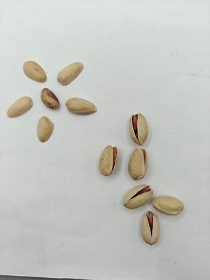 از غذاهاش لذت ببر نمک سرخ شده پسته در پوسته