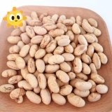کشور حلال گواهی شده پوشیده سرخ شده تند زرد ادامام سویا لوبیا میان وعده های ISO تایید شده