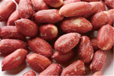 آجیل آبجو بادام زمینی سرخ شده با آب نبات بزرگ سرخ شده با طعم مختلف HALAL گواهی نامه