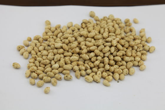 اسفناج دانه آفتابگردان خبره کوشر، دانه های آفتابگردان روغنی طعم خوشمزه