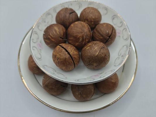 آجیل ماکادمیا
