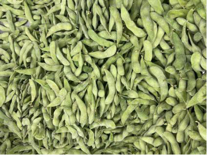 لوبیای Edamame منجمد با پروتئین بالا HALAL